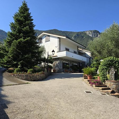 Bulgheriabeb Celle di Bulgheria Extérieur photo