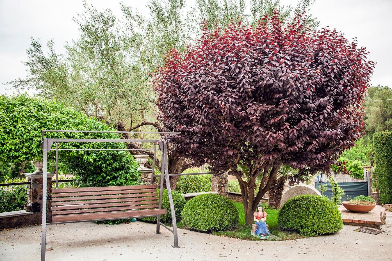 Bulgheriabeb Celle di Bulgheria Extérieur photo
